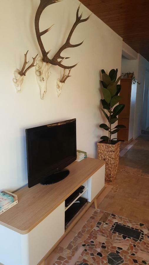 Appartement Unterbergblick Kössen Extérieur photo